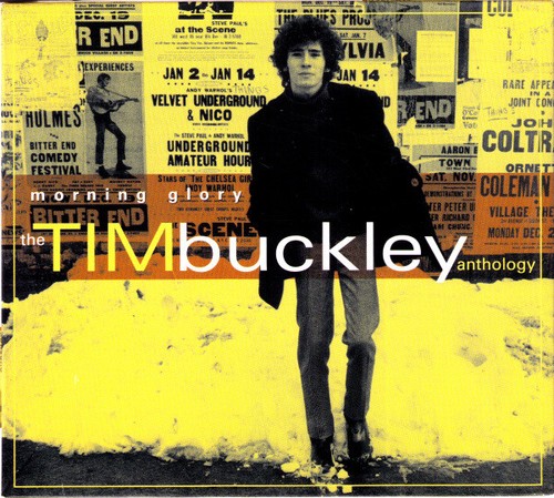 Tim buckley morning glory - tim,