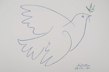Pablo picasso die taube - taube, des