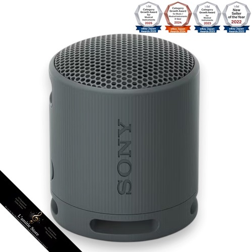 Sony srs xb100 tragbarer - srs-xb100, bc