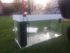 aquarium komplett gebraucht