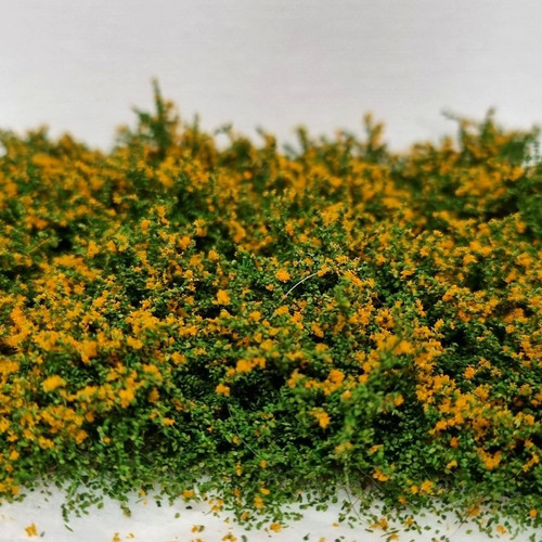 Mini büsche mit orangenen - mini,