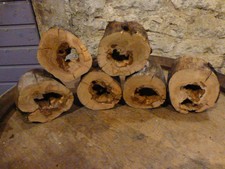 6 x Holzscheiben hohl Baumscheibe  Holz 11 - 12 cm unbehandelt geschliffen DEKO