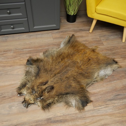 Wildschweinfell keiler fell - wildschweinfell,