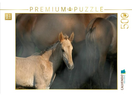 Calvendo puzzle - calvendo,