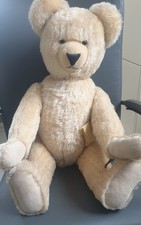 Bär von Sonneberg ,Maharadra