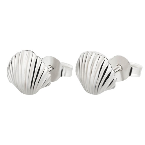Ohrringe muschel 925 silber - muschel,