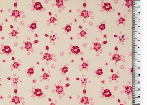 Blumen rosen schlicht grau - blumen,