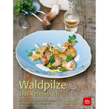 Waldpilze. Das Rezeptbuch. Heimische Arten bestimmen, sammeln und zubereite ...