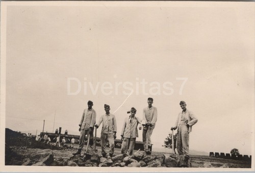 Foto arbeitsdienst 371 - arbeitsdienst, 6/371