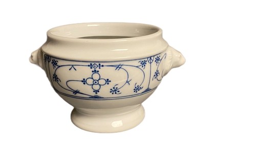 Winterling indisch blau - winterling,