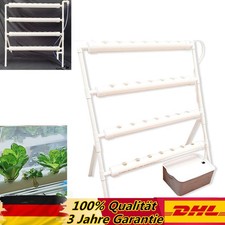36-Löcher Hydroponic Grow Kit