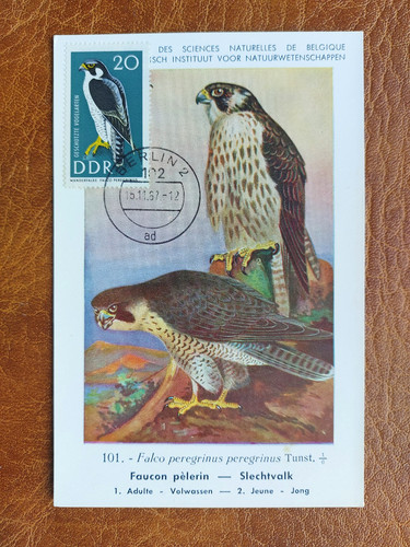 Maximumkarte ddr 1274 - maximumkarte, mi.