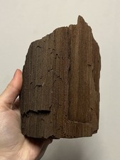 Feenholz Versteinertes Holz Dekoration