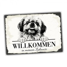 Hundeschild Willkommen Zuhause