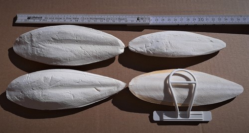 Sepiaschalen 20cm - -,