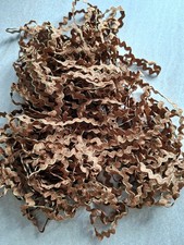  Litze Braun mit Goldrand Neu