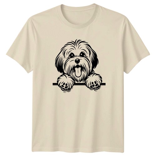 Shih tzu hund - shih,