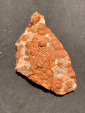 Achat, Korallenachat