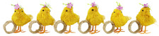 Chick Napkin Holder With