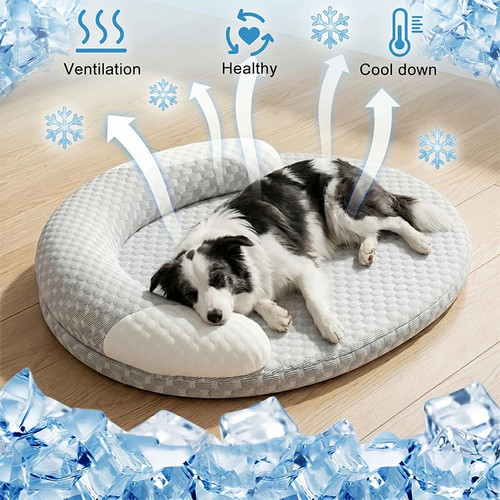 Kühlendes hundebett sommer - hundebett,