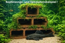 Wels + Fisch Höhle Deko Ton