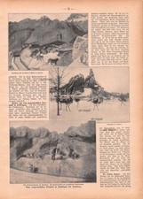 Hagenbecks Tierpark in Stellingen - 1908 - Historischer Bildbericht ~21x30cm