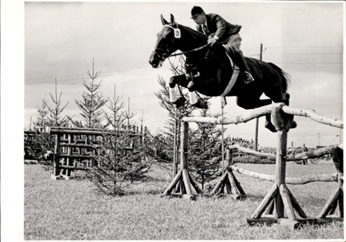 Foto springreiten sprung - springreiten,,