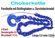 Forstkette 8mm Vierkant 2m G10