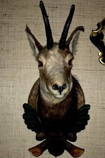 Gamsbock Gämse Gehörn Geweih
