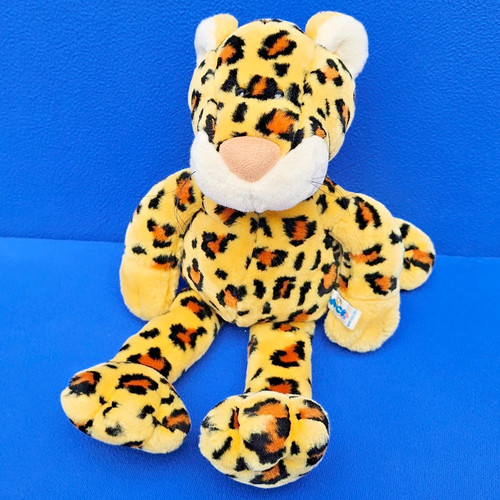 Nici leopard katze wild - leopard,