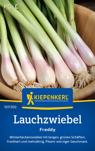 Kiepenkerl lauchzwiebelsamen - kiepenkerl,