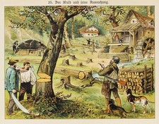 Wald Forst Holzfäller