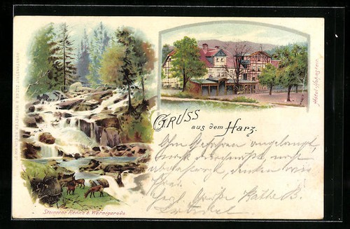 Lithographie hasserode hotel - lithographie,
