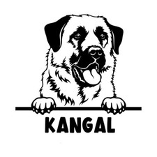 Autoaufkleber /Sticker/ Innen