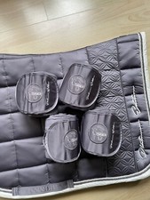 Eskadron Platinum violetgrey Bandagen WB