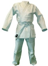 Judoanzug Budodrake Training