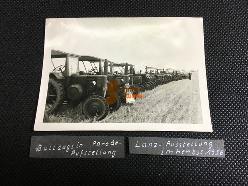 Altes foto lanz bulldog - altes,