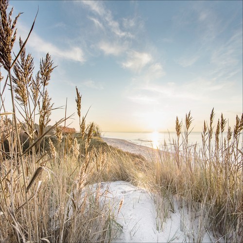 Pro art glasbild wilder strand - pro,