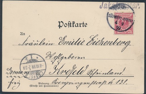 Dsw adler mitläufer - adler, ef