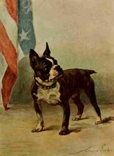 A4 Foto Earl Maud 1864 1943