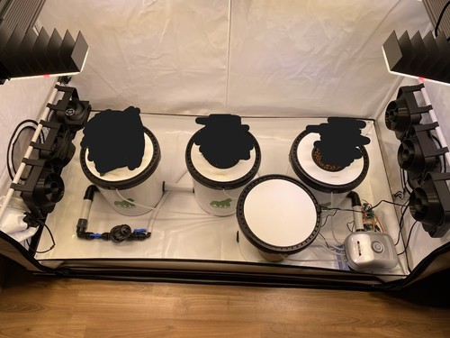 Hydroponik grow setup komplett - hydroponik,