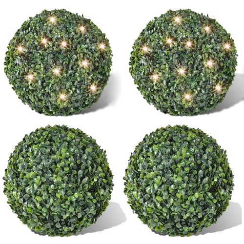 Buchskugel graskugel - 2x,
