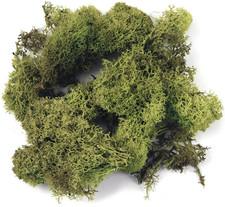 Rayher 8503211 Islandmoos