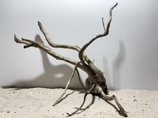 Dunkle Moorwurzel XL