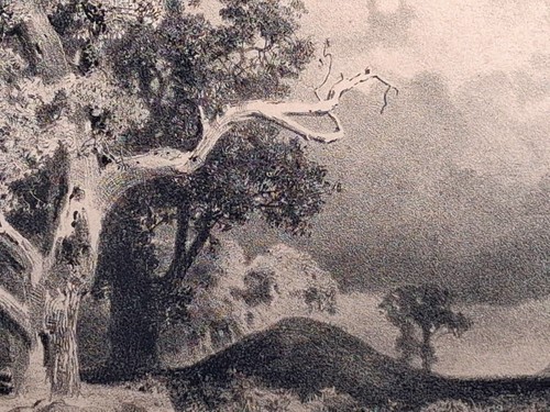 Original lithographie 1866 - original-lithographie,