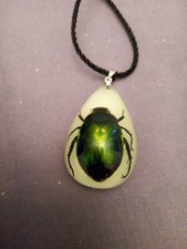 Grün schillernder Skarabäus