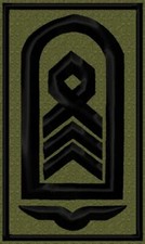 Bundeswehr Rangabzeichen