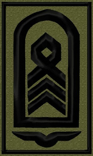 Bundeswehr rangabzeichen - bundeswehr,