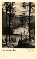 Ak Hindenberg Lübbenau im Spreewald, Landschaft mit See, Bäume, ... - 4895007