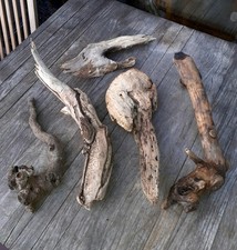 5 XL Treibholz Schwemmholz